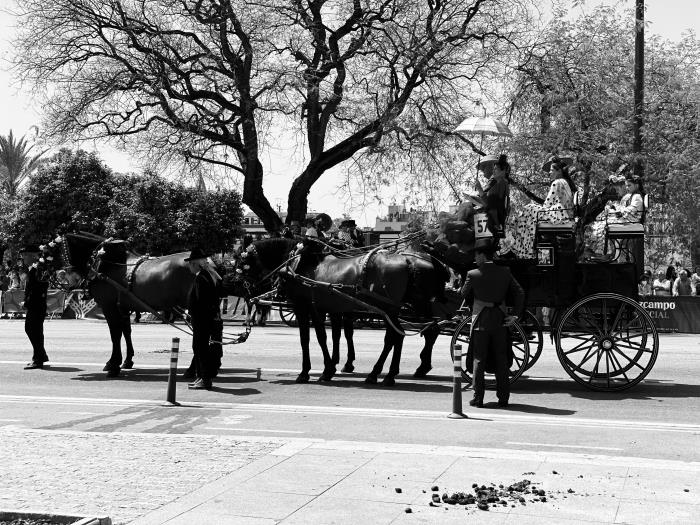 Visitar El Barrio de Santa Cruz