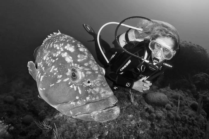 Tauchen auf den Medes-Inseln