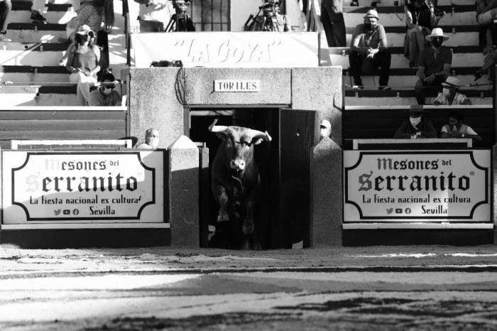 Pasea por la Tradicional Plaza de Toros de Sanlúcar de Barrameda