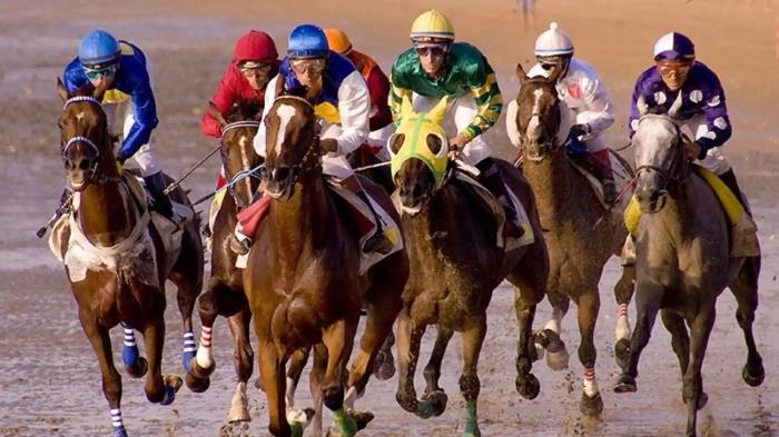 Aluguer de alojamento turístico de luxo em Sanlúcar de Barrameda