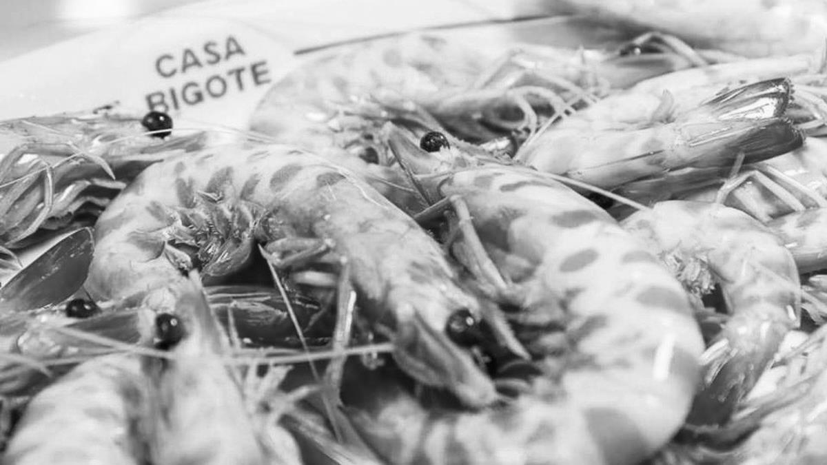 Manger chez Casa Bigote: Le temple de la langoustine à Bajo de Guía