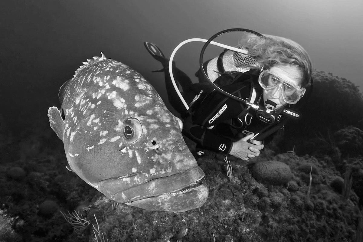 Tauchen auf den Medes-Inseln
