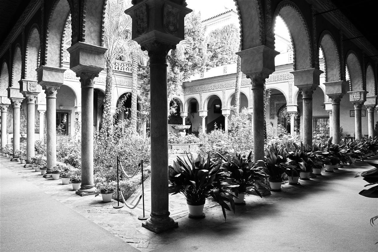 Visitar el Palacio de Dueñas