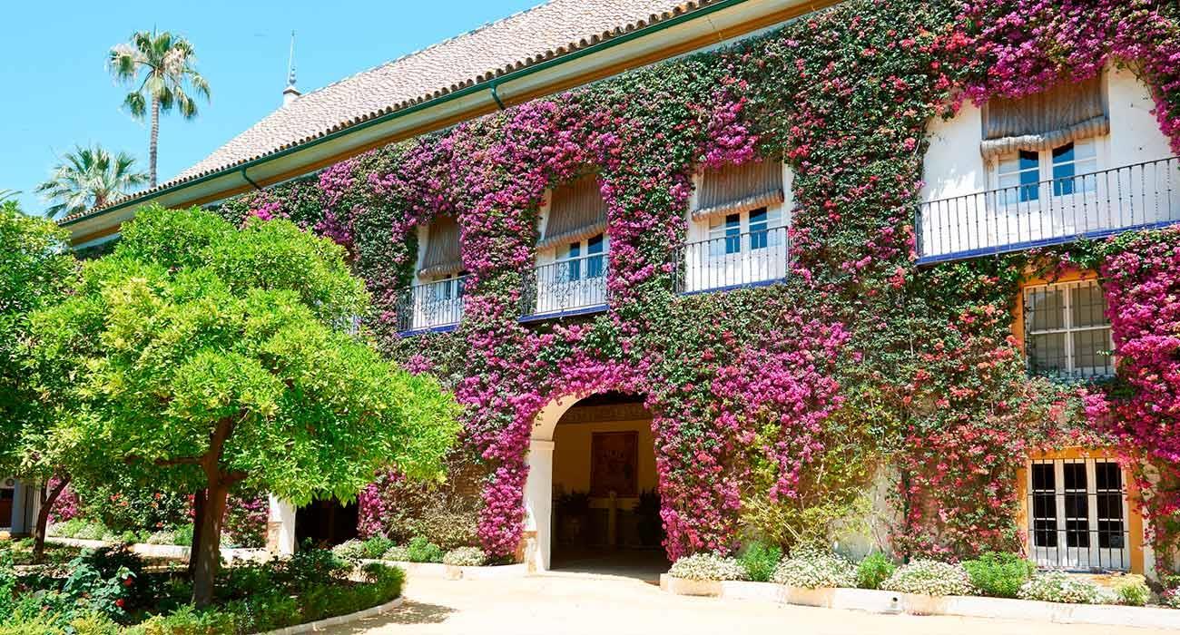 Visita o Palacio de Dueñas de Sevilha