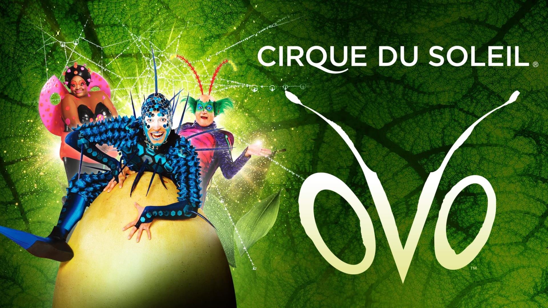 OVO del Cirque du Soleil a Madrid