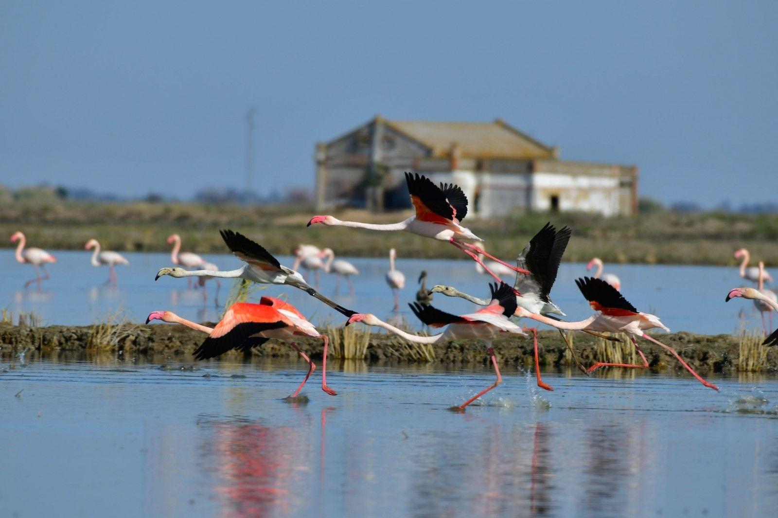 Isla Mayor: Il cuore risicolo di Siviglia dove il tempo e l’acqua disegnano il paesaggio