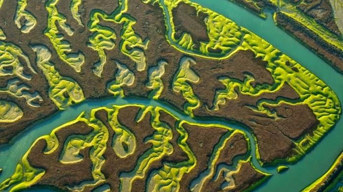 Le Marismas del Guadalquivir: Il grande polmone d'acqua e vita del sud Europa