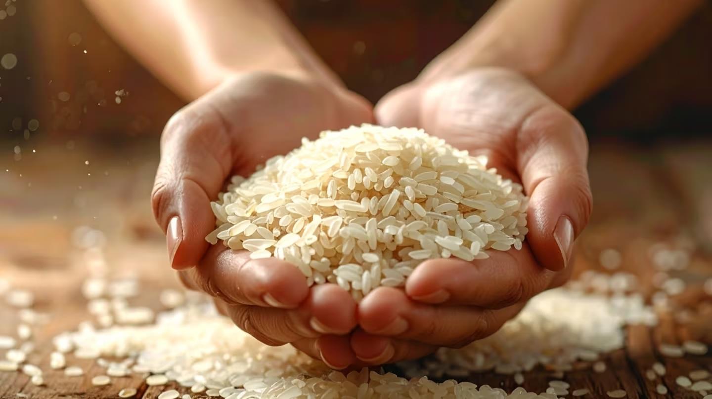 Dia Internacional de l'Arròs: L'homenatge global al gra que alimenta el món