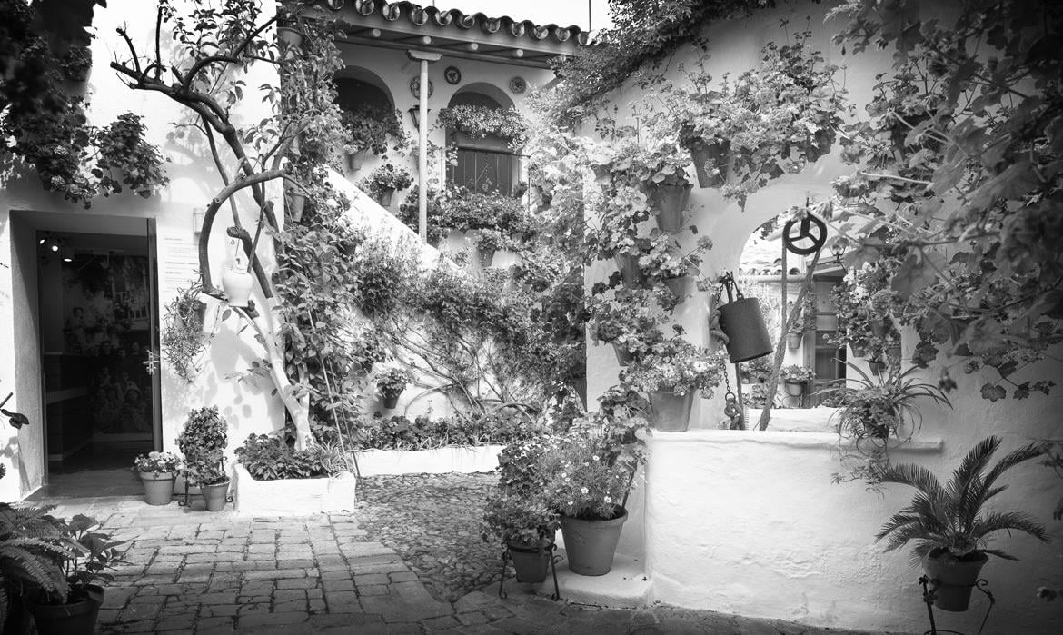 Visitar Los Patios de Córdoba