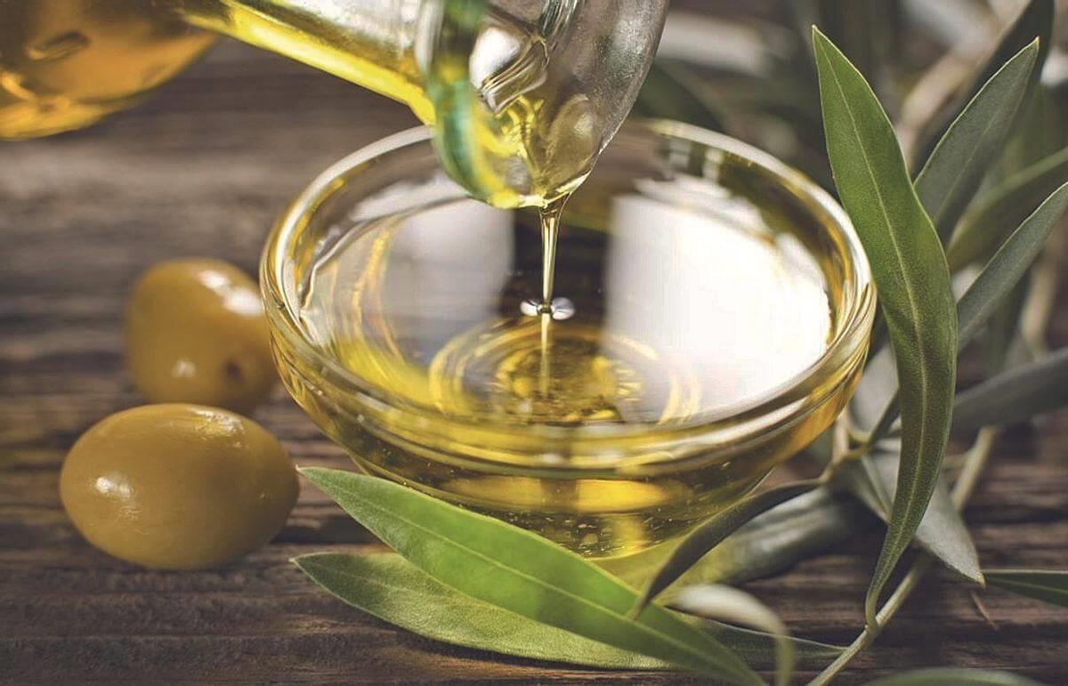 El Aceite de la Sierra de Córdoba y DOP Priego de Córdoba: Historia, Tradición y Excelencia del Oro Líquido Andaluz