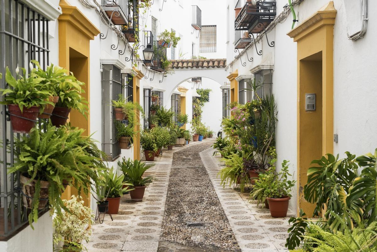 Ruta por la Judería de Córdoba: Historia, Leyendas y Rincones en el Corazón Judío