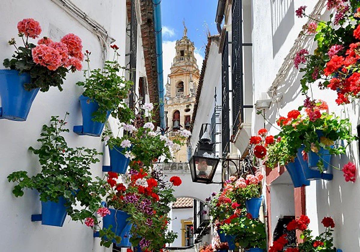 La Calleja de las Flores, el Rincón más Fotografiado de Córdoba