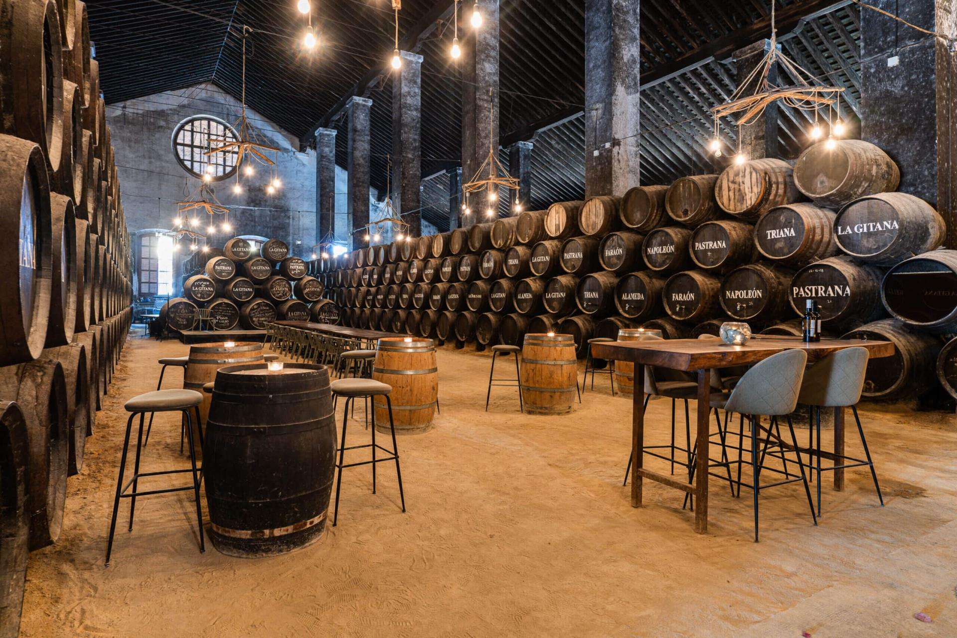 El Marco de Jerez: Historia, vinos y tradición de una tierra única