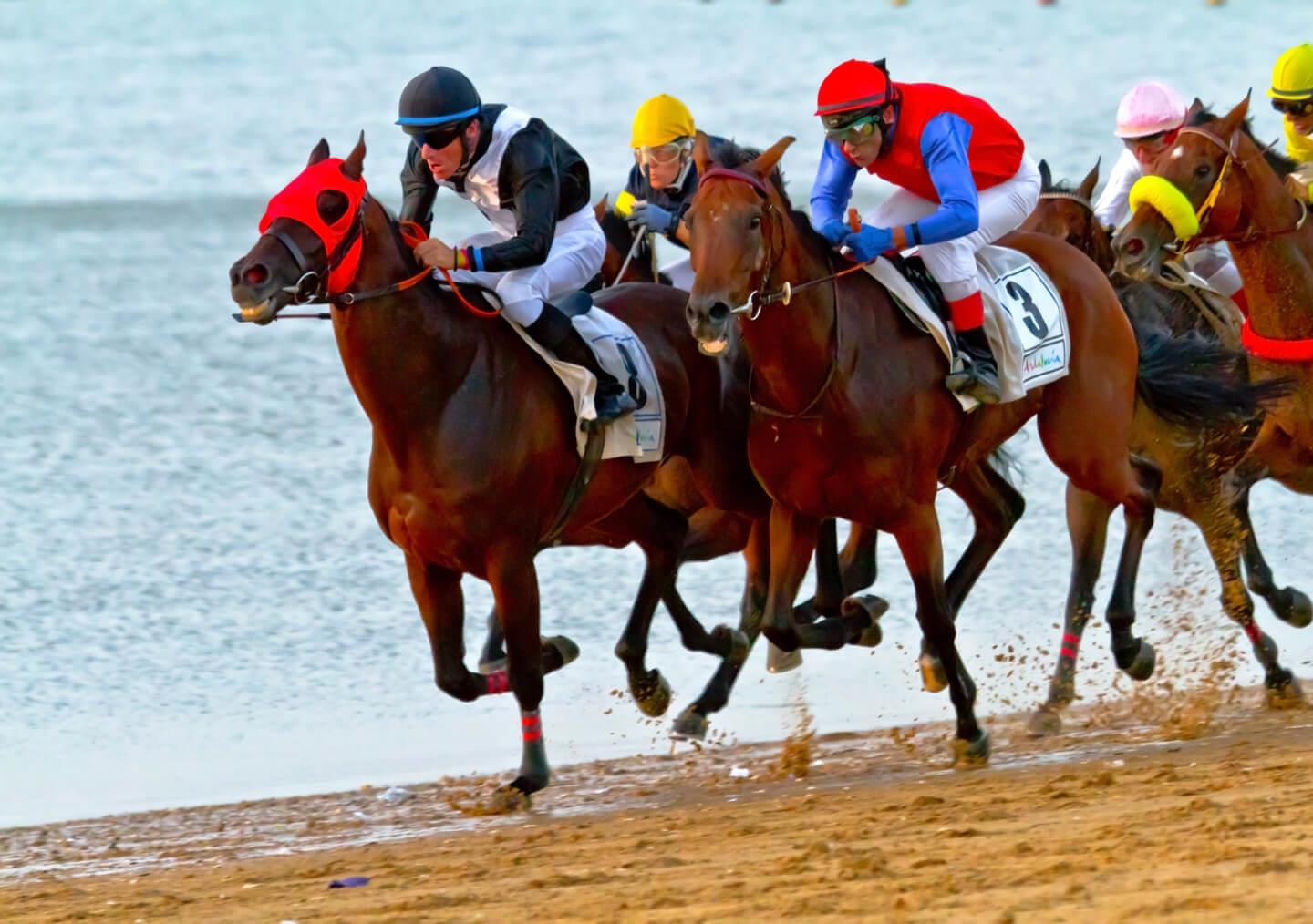 arreras de Caballos de Sanlúcar 2026: El Espectáculo Ecuestre Único en la Playa