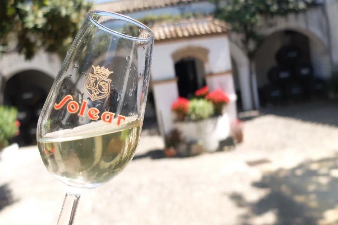 Le Musée de la Manzanilla de Sanlúcar de Barrameda: Le temple du Vin