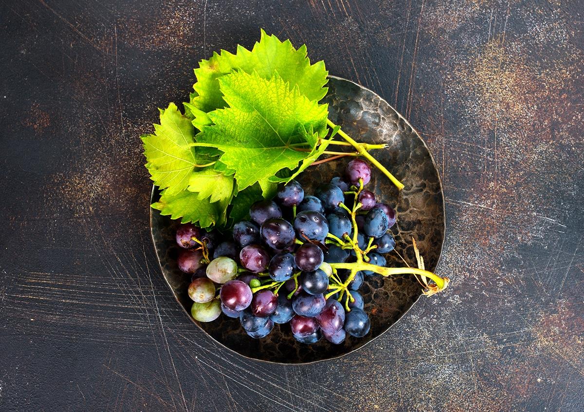 Las Vendimias de Ortega y Gasset 2026: La Gran Fiesta del Vino en Madrid