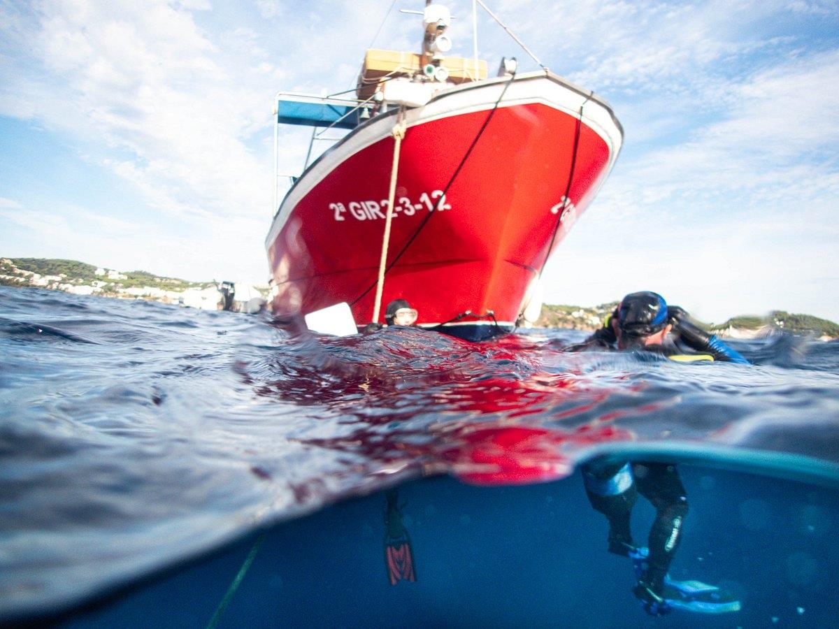 Buceo en la Costa Brava, un Paraíso Submarino por el Mediterráneo