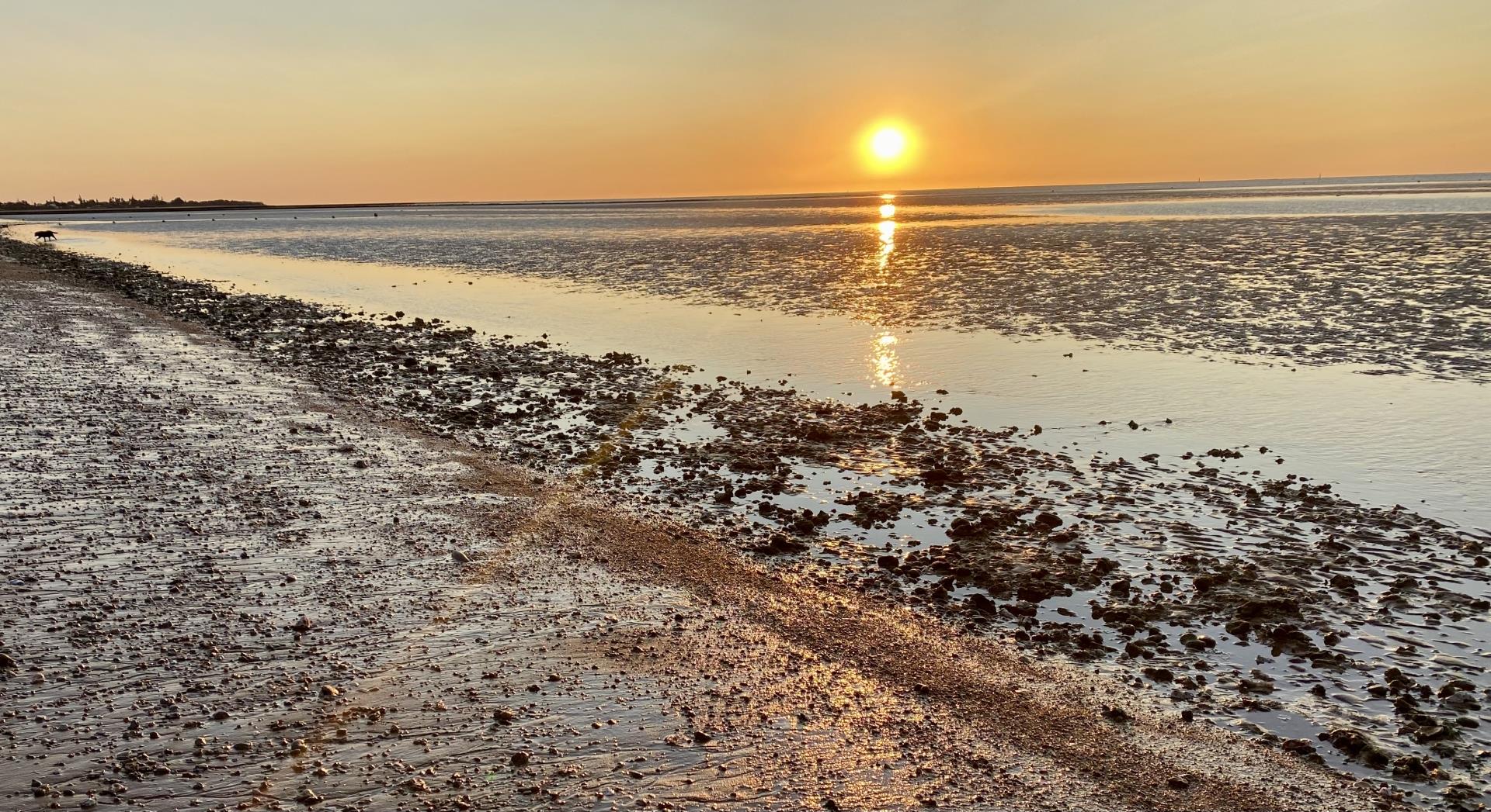 Die Strände von Sanlúcar de Barrameda, Dünen, Sonnenuntergänge und das authentischste Meer der Costa de la Luz