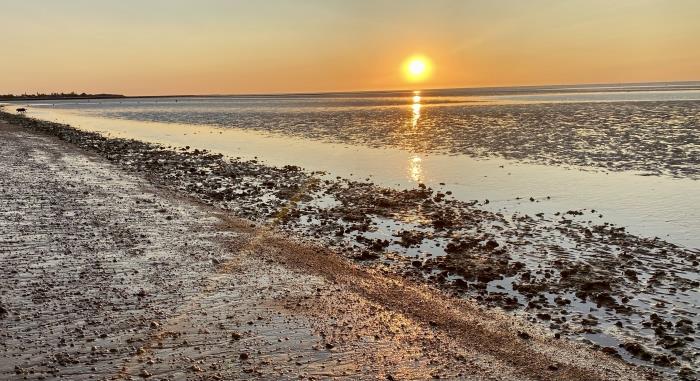 Die Strände von Sanlúcar de Barrameda, Dünen, Sonnenuntergänge und das authentischste Meer der Costa de la Luz