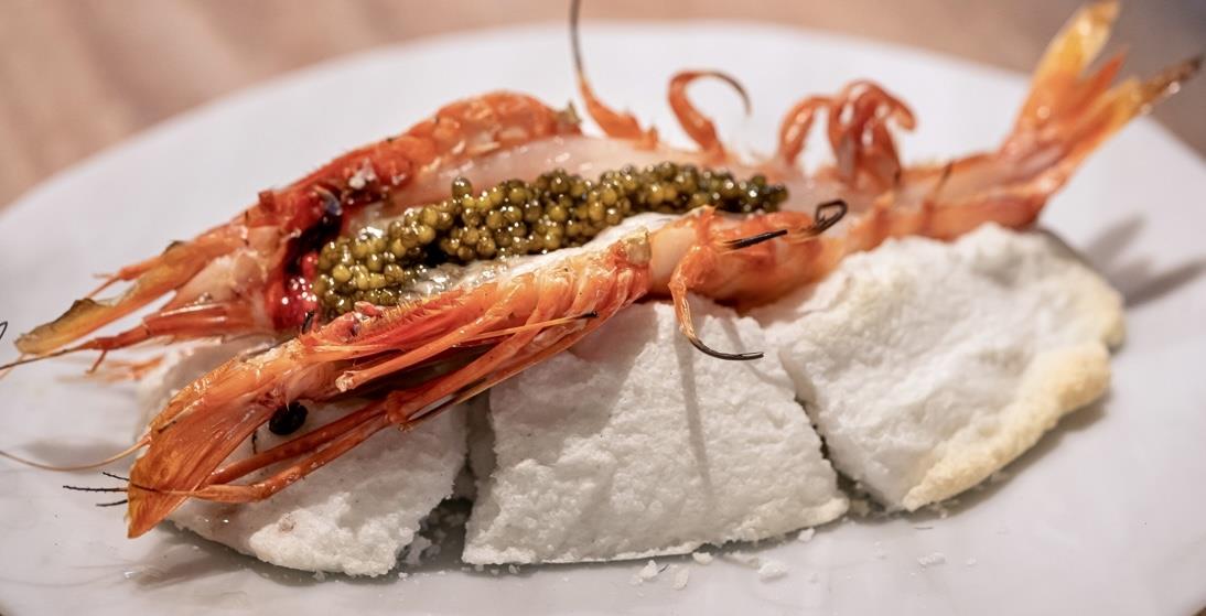 La Gamba de Palamós, Historia, Sostenibilidad y el Tesoro Rojo del Mediterráneo