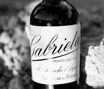 Descubrir las Bodegas Gabriela
