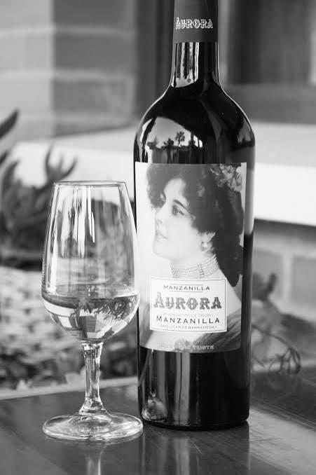 Visitar Bodegas Yuste Argüeso